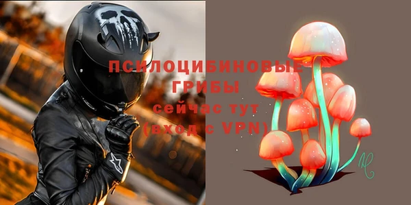 трава Пересвет