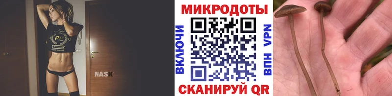 Галлюциногенные грибы MAGIC MUSHROOMS  Купить где  Почеп 